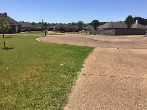419 Ginger Cv, Byram, MS 39272 photo 15