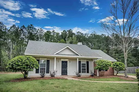 517 Black Jack Cv, Brandon, MS 39047 photo 1
