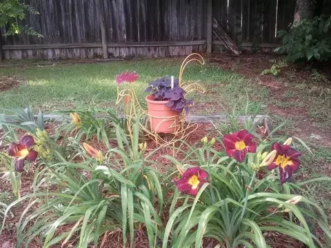 121 Formosa Dr, Brandon, MS 39047 photo 33