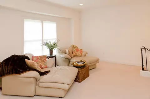 119 Azalea St, Madison, MS 39110 photo 15