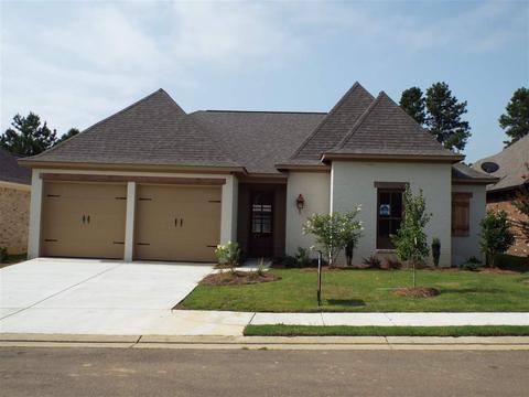 113 Hampton Chase, Madison, MS 39110 photo 1
