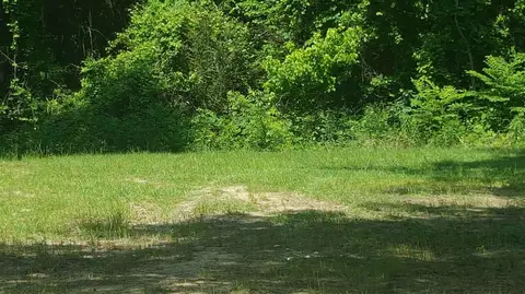 643 Saxton Rd, Benton, MS 39039 photo 6