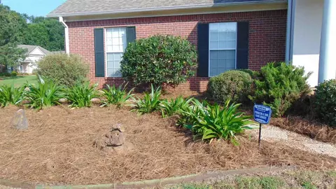201 Overlook Dr, Brandon, MS 39042 photo 4
