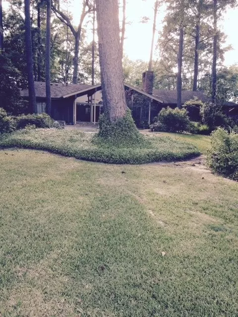 714 Forest Point Dr, Brandon, MS 39047 photo 2