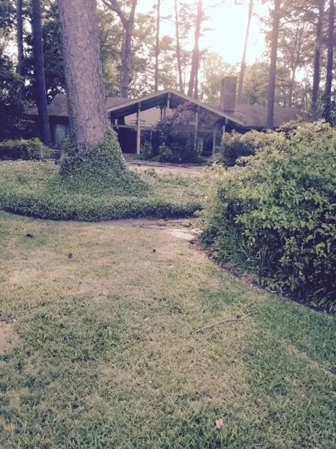 714 Forest Point Dr, Brandon, MS 39047 photo 3