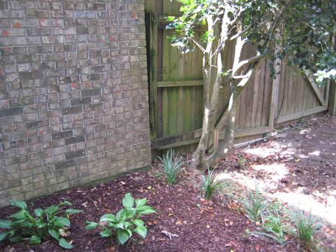 116 Fern Dr, Brandon, MS 39042 photo 9