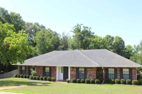 115 Rustic Dr, Brandon, MS 39047 photo 1