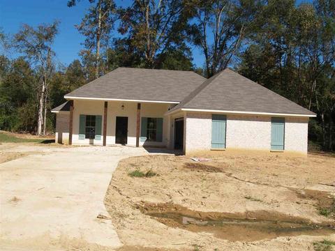 223 Terry Brook Dr, Terry, MS 39170 photo 1