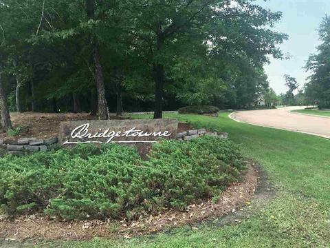 413 Dunlin Ct, Brandon, MS 39047 photo 36
