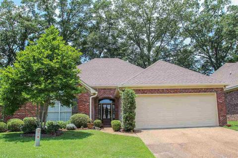 413 Dunlin Ct, Brandon, MS 39047 photo 1