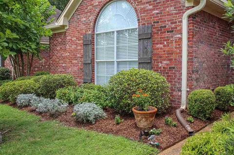 413 Dunlin Ct, Brandon, MS 39047 photo 3