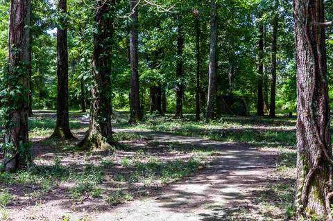 4012 Brookwood Dr, Flowood, MS 39232 photo 32