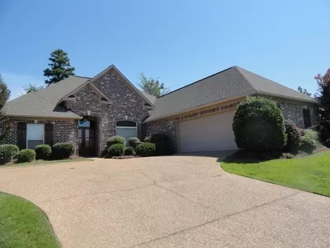 111 Turtle Ridge Dr, Brandon, MS 39047 photo 1