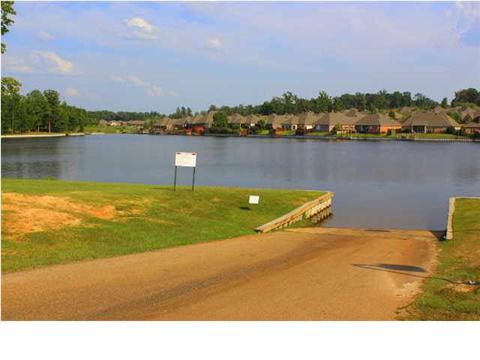 254 Cornerstone Dr, Brandon, MS 39042 photo 31