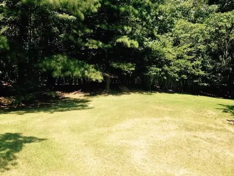 150 Cedar Hill Ln, Flora, MS 39071 photo 38
