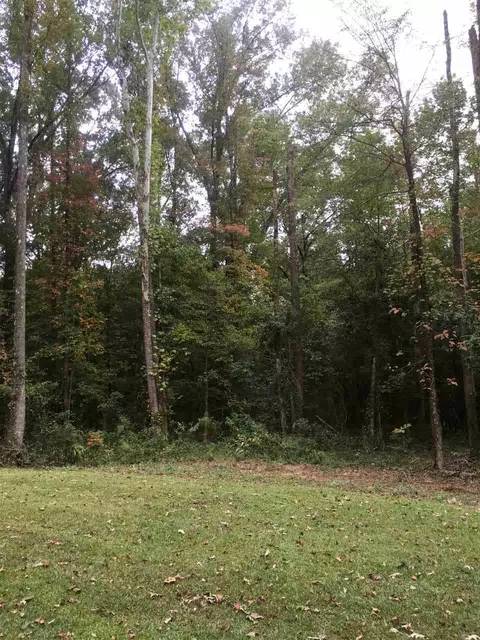 156 Mt Helm Rd, Brandon, MS 39047 photo 23