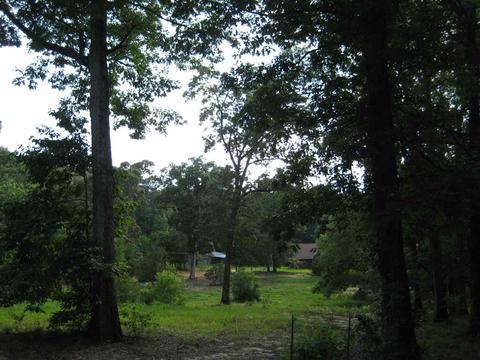 1029 Brewer Ln, Brandon, MS 39042 photo 1