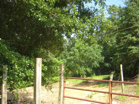 1029 Brewer Ln, Brandon, MS 39042 photo 38