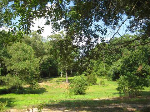 1029 Brewer Ln, Brandon, MS 39042 photo 41