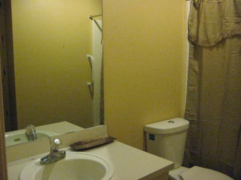 1029 Brewer Ln, Brandon, MS 39042 photo 32