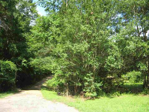 1029 Brewer Ln, Brandon, MS 39042 photo 43
