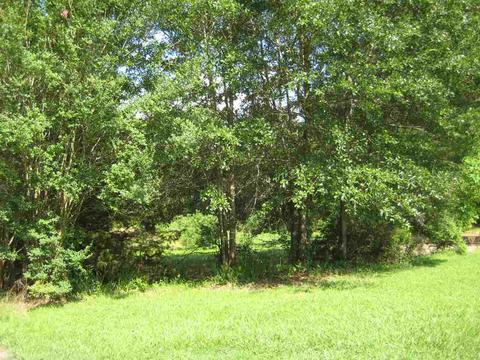 1029 Brewer Ln, Brandon, MS 39042 photo 44