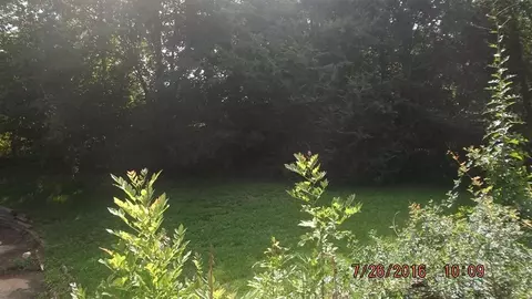 2645 Mcdowell Rd, Jackson, MS 39204 photo 8