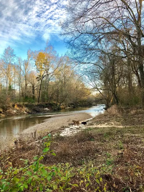 3056 Ab Brandi Rd, Summit, MS 39666 photo 1