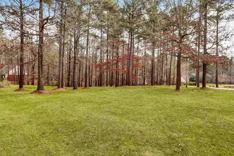 144 Trickham Bridge Cv, Brandon, MS 39042 photo 35