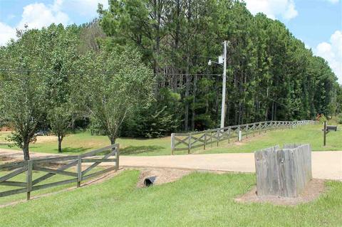 17335 Midway Rd, Terry, MS 39170 photo 2