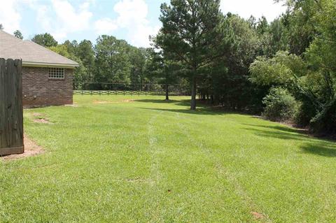 17335 Midway Rd, Terry, MS 39170 photo 4