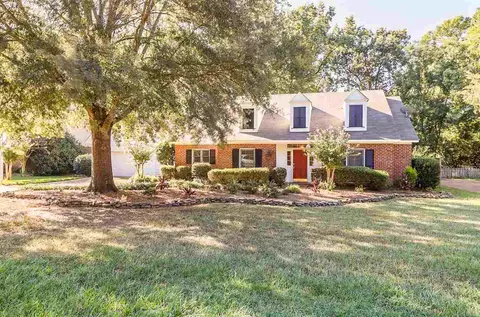 165 Trace Cove Dr, Madison, MS 39110 photo 3