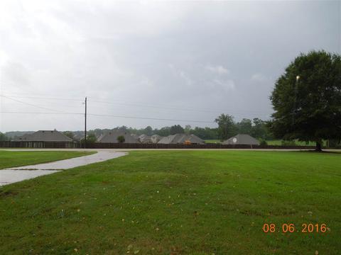 3053 Louis Wilson Dr, Brandon, MS 39042 photo 14