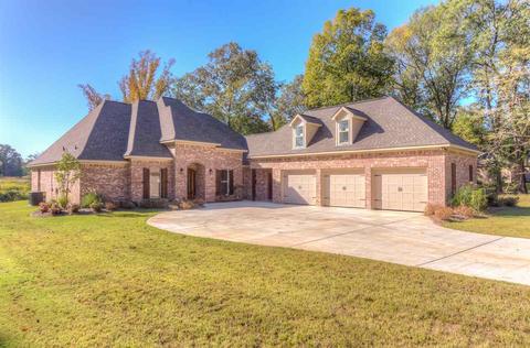 229 Bellechase Dr, Clinton, MS 39056 photo 47