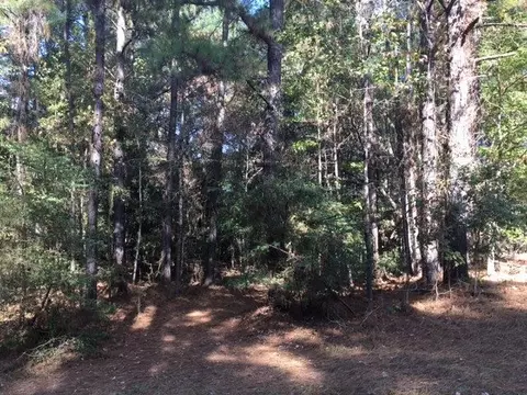 1077 Star Rd, Brandon, MS 39042 photo 2
