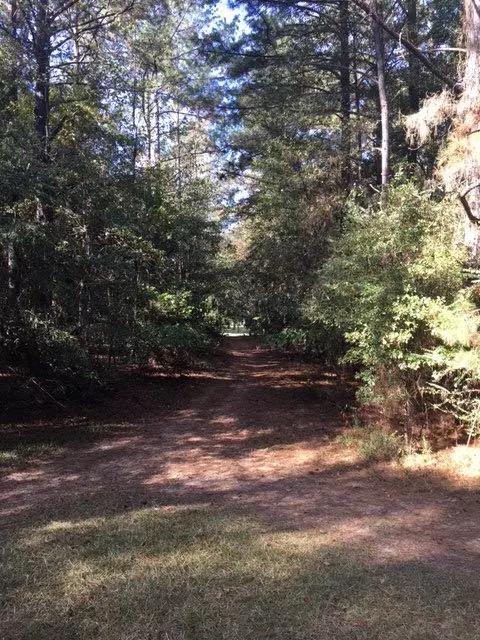 1077 Star Rd, Brandon, MS 39042 photo 3