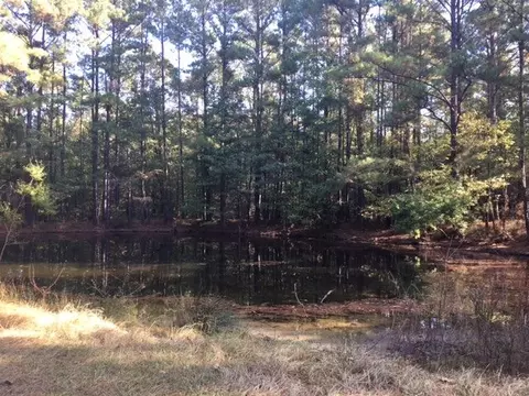 1077 Star Rd, Brandon, MS 39042 photo 1