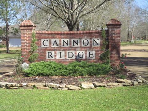 2006 Windy Cv, Brandon, MS 39042 photo 24
