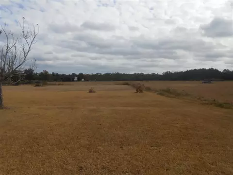 2122 Bexley Rd, Lucedale, MS 39452 photo 3