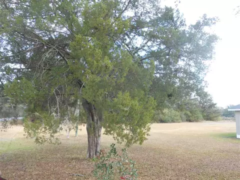 2122 Bexley Rd, Lucedale, MS 39452 photo 4