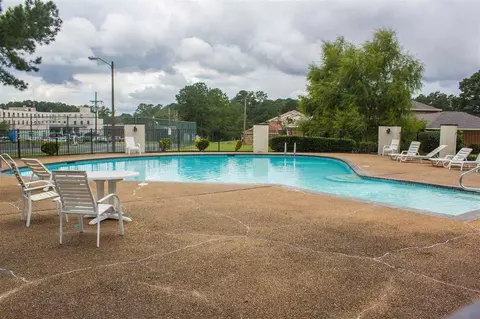 362 Wild Cedar Pl, Brandon, MS 39042 photo 32