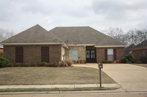 411 Ryan Dr, Brandon, MS 39047 photo 1