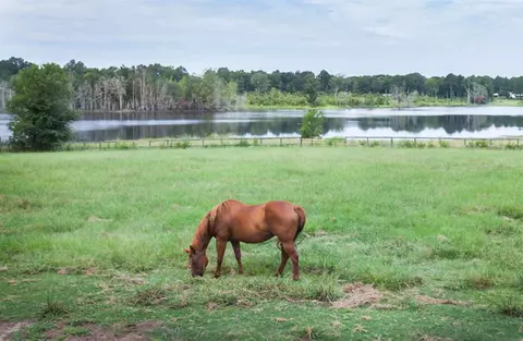 1014 Shiloh Rd, Brandon, MS 39042 photo 45
