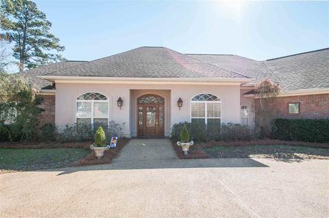 207 Northwind Dr, Brandon, MS 39047 photo 5