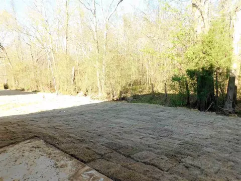 1203 Belle Oak Pt, Brandon, MS 39042 photo 35