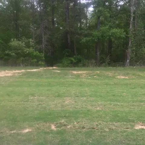 624 Macbeth St, Brandon, MS 39047 photo 10