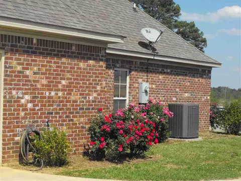 1145 Cindy Dr, Terry, MS 39170 photo 4