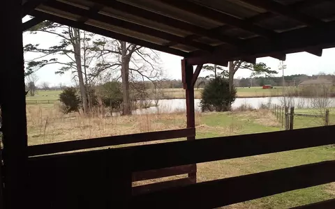 1145 Cindy Dr, Terry, MS 39170 photo 28
