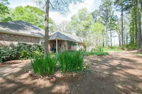 123 Dogwood Pl, Flowood, MS 39232 photo 20