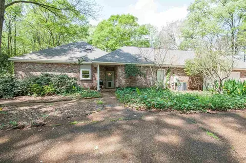 123 Dogwood Pl, Flowood, MS 39232 photo 19